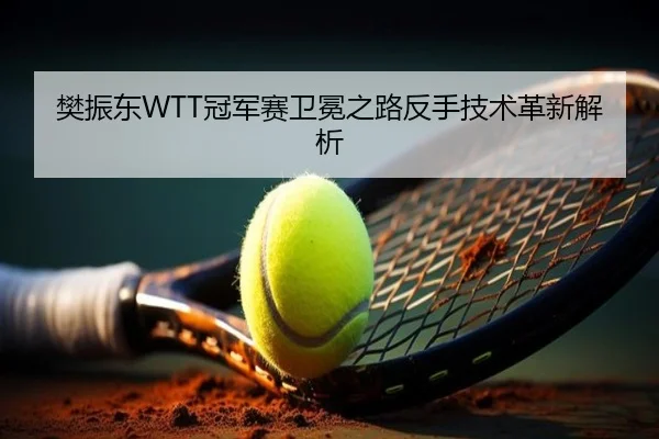 樊振东WTT冠军赛卫冕之路反手技术革新解析